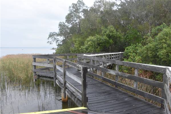 Noosa Everglades - Kinaba Information Building (13/07/2017 - Credits: Kathryn Metcalfe)