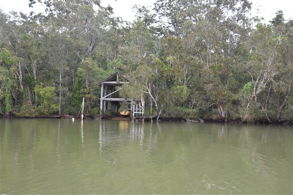 Johns Landing (Noosa Everglades) (13/07/2017 - Credits: Kathryn Metcalfe)