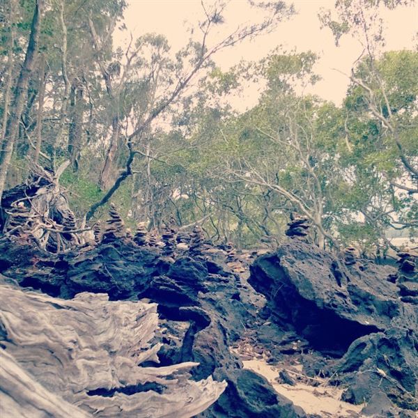 Karragarra Island (9/07/2018 - Credits: unknown)