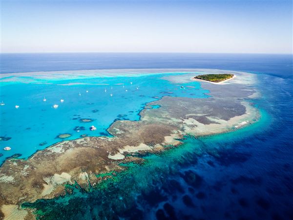Great Barrier Reef - Lady Musgrave Island - Wallaginji (5/10/2018 - Credits: unknown)