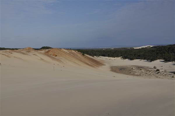 Mulgumpin (Moreton Island) - Big Sand Hills (11/04/2015 - Credits: Angus Ledgerwood)