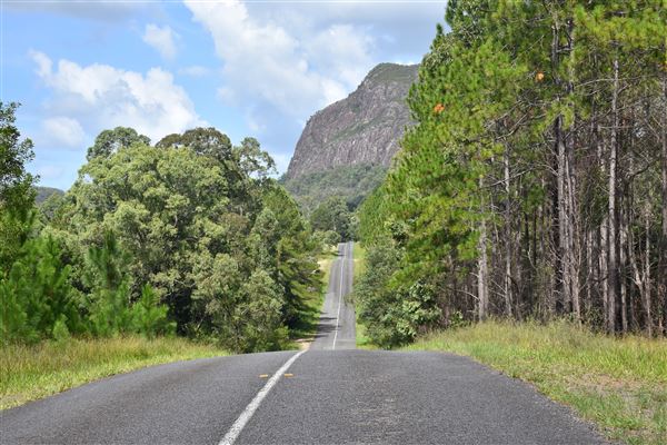 Marshs Road - Mt Tibrogargan (b/g) (15/03/2019 - Credits: Kathryn Metcalfe)