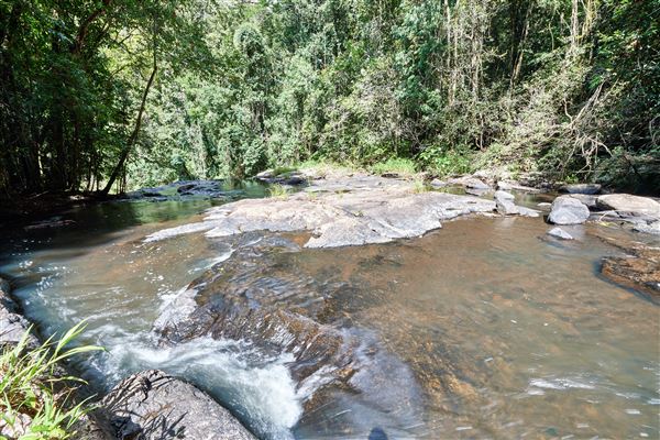 Mount Hypipamee National Park (10/02/2020 - Credits: John de Rooy, Atherton Tableland Photography)