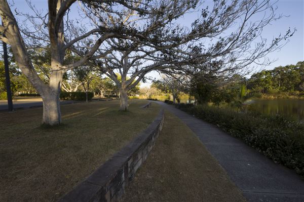 Spring Lake Park (11/05/2020 - Credits: Ipswich City Council)