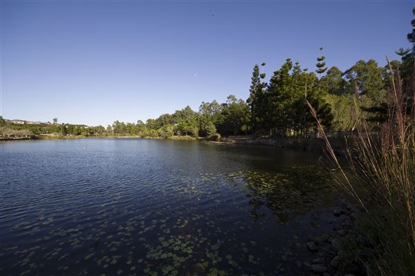 Spring Lake Park (11/05/2020 - Credits: Ipswich City Council)