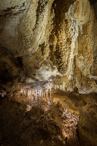 Capricorn Caves (1/07/2020 - Credits: Capricorn Caves)