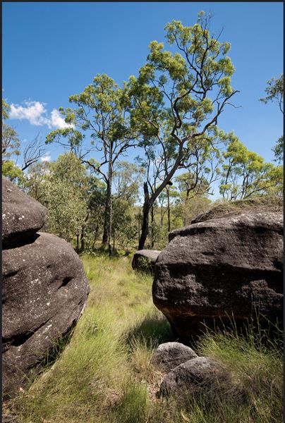 Karawatha Forest Park - Overview - Image Sourced - Do Not Make Public (10/12/2020)
