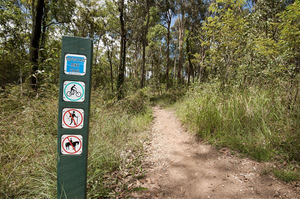 Mt Coot-tha Forest - Overview - Image Sourced - Do Not Make Public (14/12/2020)