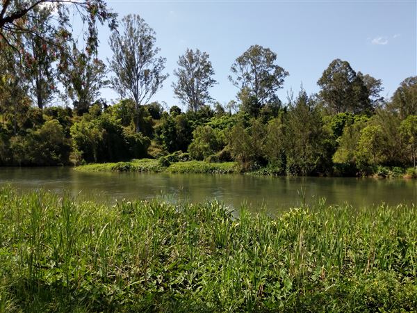 Parkland on the River - Colleges Crossing Recreation Reserve (20/09/2021 - Credits: Kathryn Metcalfe)