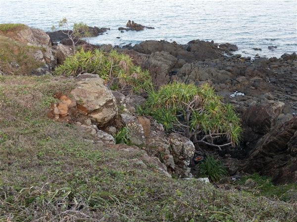 Campwin Beach Lookout / Coral Point Reef (26/10/2021 - Credits: Kathryn Metcalfe)