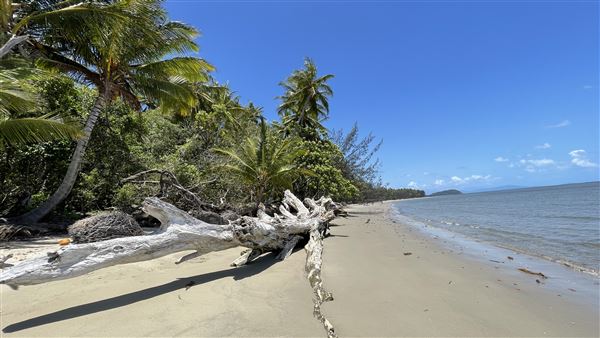 Four Mile Beach / southern end (15/12/2021 - Credits: Courtesy of Karen Jones)