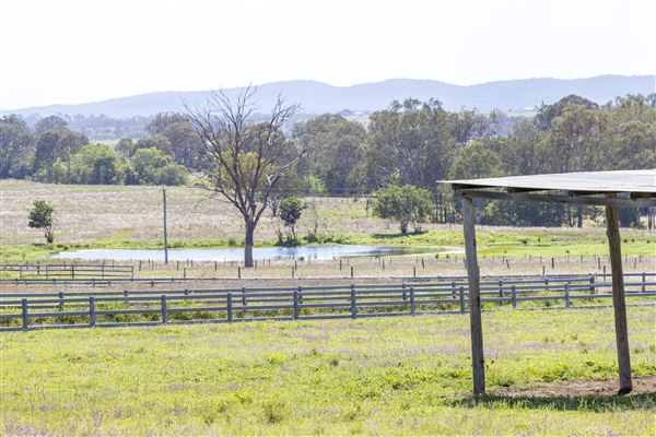 Summer Land Camel Farm (20/10/2021 - Credits: Ipswich City Council)