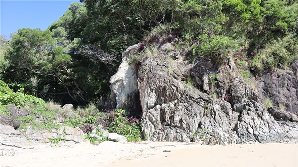Yorkeys Knob Cove (17/05/2022 - Credits: Brendan O'Sullivan)