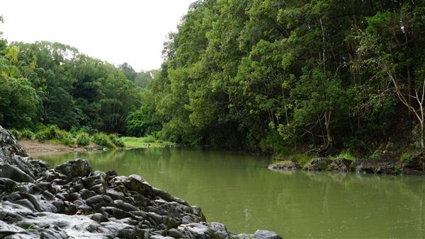 Currumbin Rock Pools (8/07/2019)