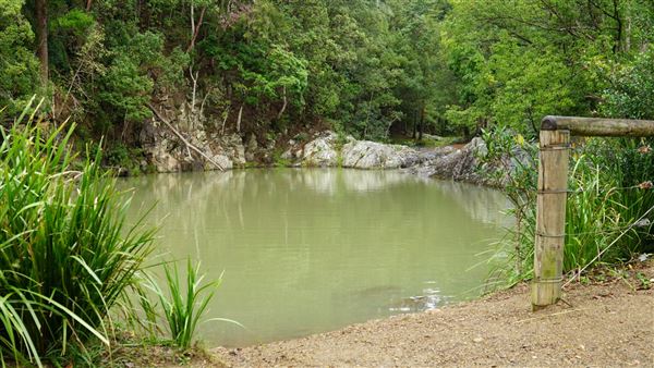 Currumbin Rock Pools (8/07/2019)