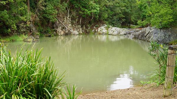 Currumbin Rock Pools (8/07/2019)