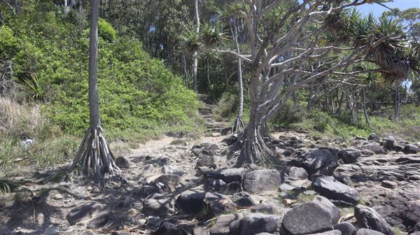 North of Boiling Pot/Tea Tree Bay (2/12/2022 - Credits: Brendan O'Sullivan)