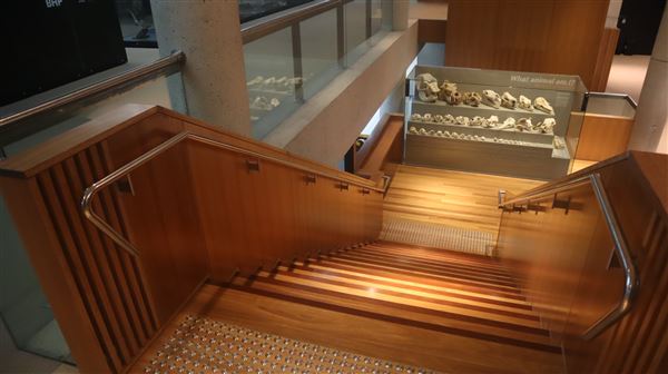 Queensland Museum - Interior (5/12/2022 - Credits: Brendan O'Sullivan)