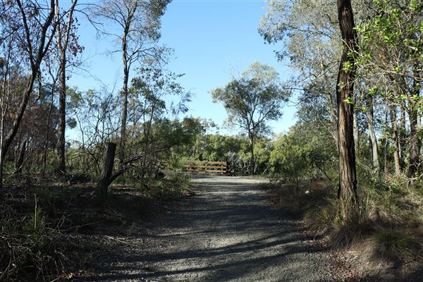 Epapah Creek - Karl's Pier track (8/05/2023 - Credits: Screen Queensland)