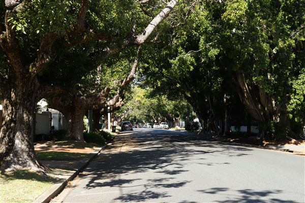 Chelmer Streetscape (10/05/2023 - Credits: Screen Queensland)