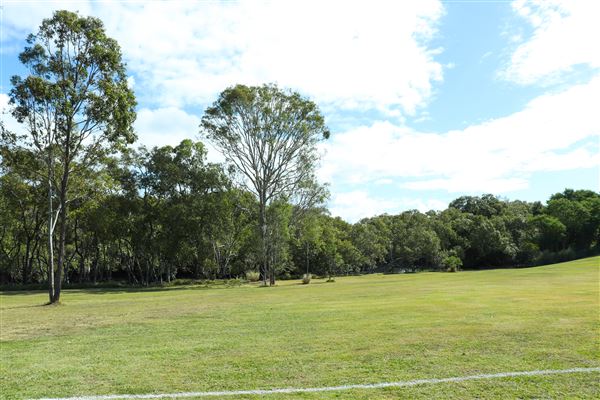 Curlew Park - Cabbage Tree Creek (11/05/2023 - Credits: Screen Queensland)