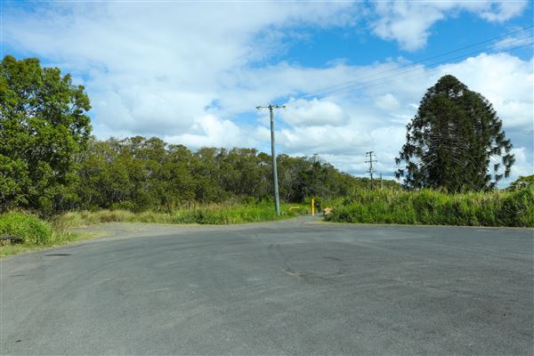 Curlew Park - Cabbage Tree Creek (11/05/2023 - Credits: Screen Queensland)