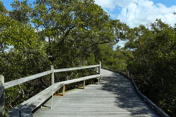 Nudgee Beach Wetlands Reserve (11/05/2023 - Credits: Screen Queensland)