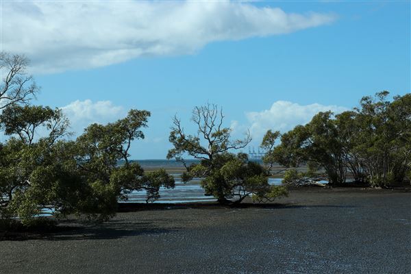 Nudgee Beach (11/05/2023 - Credits: Screen Queensland)
