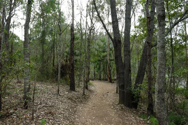 Enoggera Reservoir (12/05/2023 - Credits: Screen Queensland)