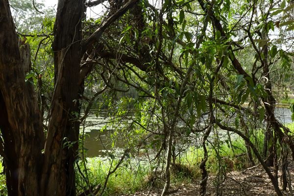 Enoggera Reservoir (12/05/2023 - Credits: Screen Queensland)