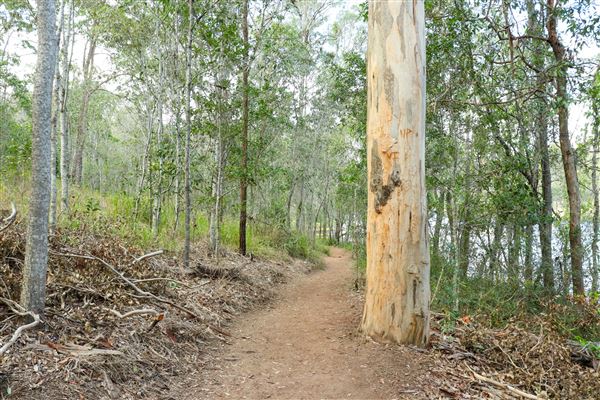 Enoggera Reservoir (12/05/2023 - Credits: Screen Queensland)