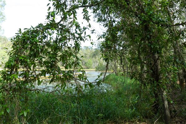 Enoggera Reservoir (12/05/2023 - Credits: Screen Queensland)