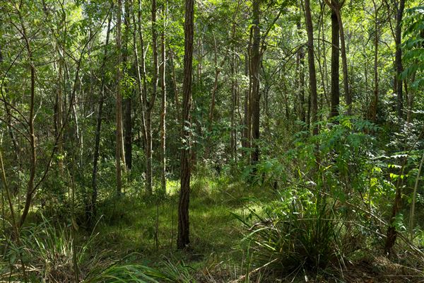 Enoggera Reservoir (12/05/2023 - Credits: Screen Queensland)