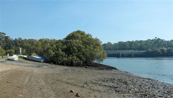 Tingalpa Creek (31/05/2023 - Credits: Screen Queensland)