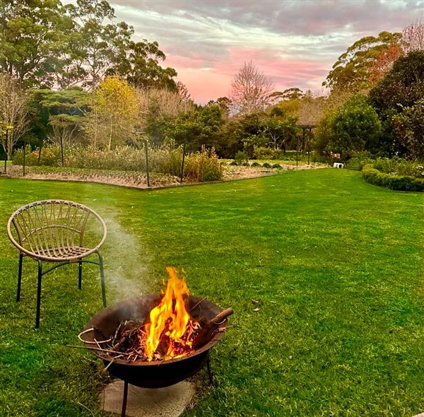 Tamborine Mountain Flower Farm (3/12/2025 - Credits: submitted by: Luke Scaddan)