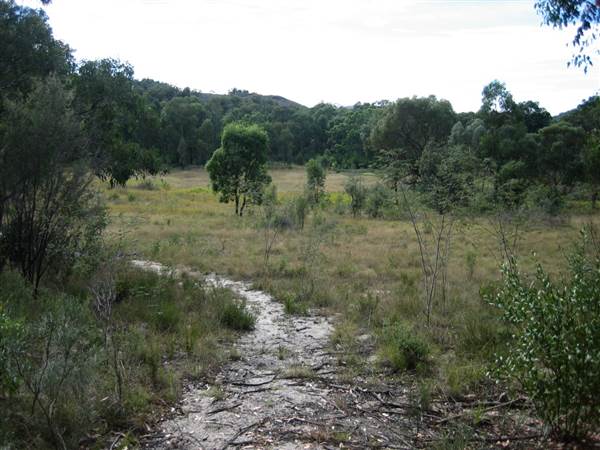 Warwick Region - Girraween National Park (25/09/2006)