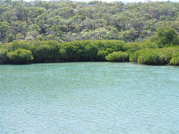 Great Keppel Island - Wop-Pa - Leekes Beach & Creek (31/08/2006)