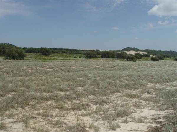 Mulgumpin (Moreton Island) (14/05/2009)