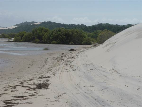 Mulgumpin (Moreton Island) (14/05/2009)