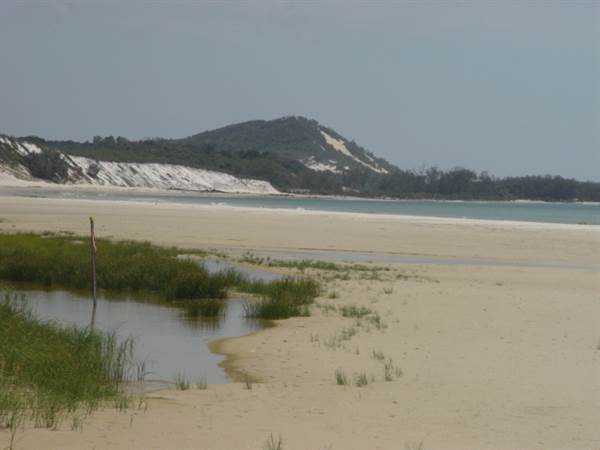 Mulgumpin (Moreton Island) (14/05/2009)
