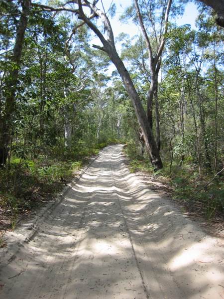 Mulgumpin (Moreton Island) (14/05/2009)
