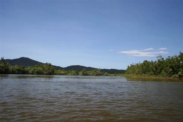 Mulgrave River (Cairns Region) (25/09/2007)