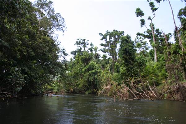 Mulgrave River (Cairns Region) (25/09/2007)