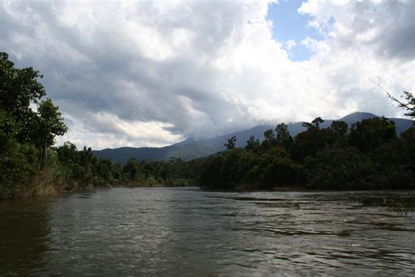 Mulgrave River (Cairns Region) (25/09/2007)