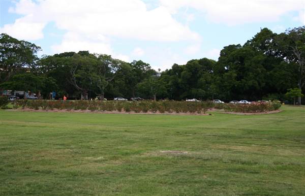 New Farm Park (12/11/2013)