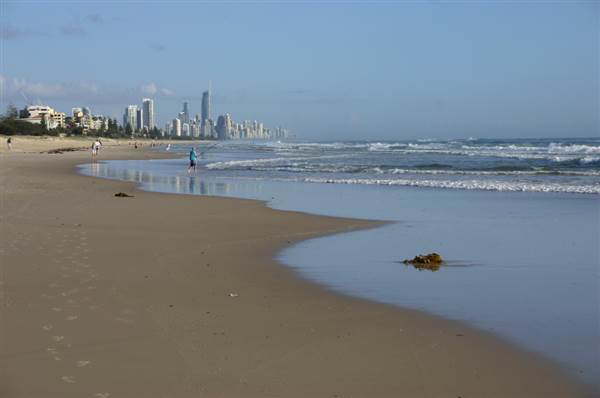 Nobby Beach and Headland (14/12/2007)