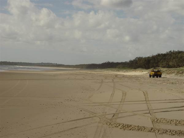 Noosa North Shore (17/01/2008)