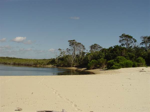 Noosa North Shore (17/01/2008)