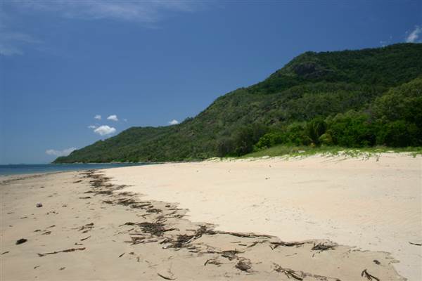 North Palm Cove to Ellis Beach (1/10/2007)