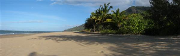 North Palm Cove to Ellis Beach (1/10/2007)
